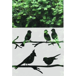 ROZ30 50x47 naklejka na okno wzory zwierzęce - ptaki